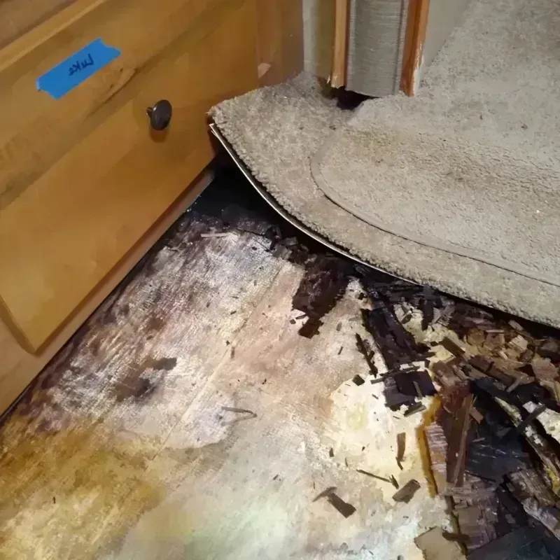 Wood Floor Water Damage in Manhattan, IL